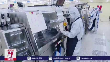 Bản tin thời sự 8h ngày 25/9/2024