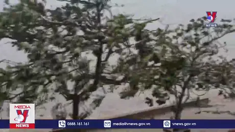 Còn 4-5 cơn bão/áp thấp hoạt động trên Biển Đông cuối năm 