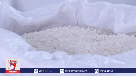 Điện Biên đẩy mạnh sản xuất tiêu thụ gạo hàng hóa