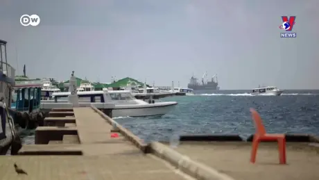 Tương Lai  Xanh ngày 26/9/2024