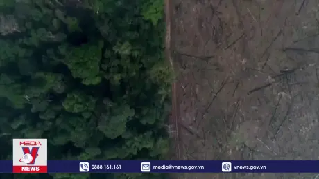 Trái đất đã vượt 7/9 ranh giới an toàn