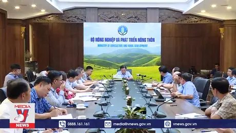 Cấp thiết phòng, chống sạt lở tại Đồng bằng sông Cửu Long