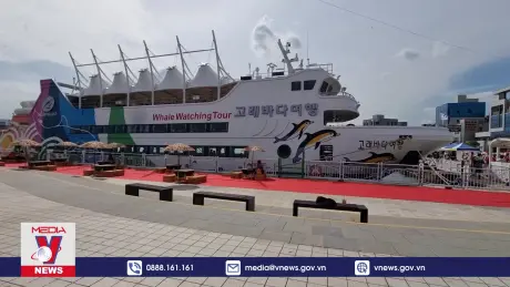 Khai mạc Lễ hội Cá voi Ulsan 2024 tại Hàn Quốc