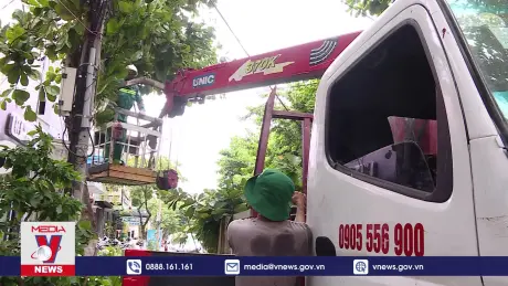 Đà Nẵng cắt tỉa hơn 35.000 cây xanh