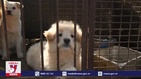 Hàn Quốc hỗ trợ nông dân trước lệnh cấm tiêu thụ thịt chó