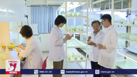 Việt Nam chiếm lĩnh những chỉ số đổi mới sáng tạo