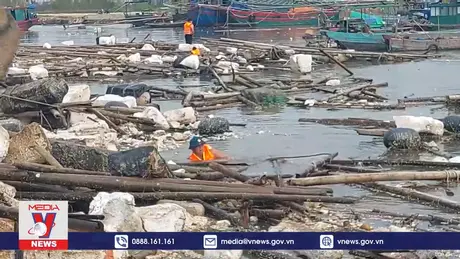 Quảng Yên nỗ lực dọn rác nổi, rác chìm sau bão số 3