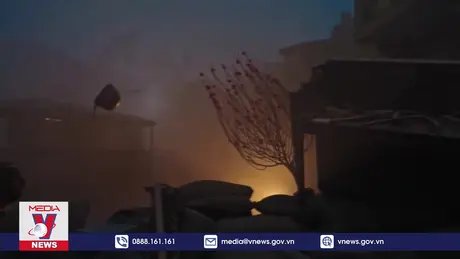 Đào, Phở và Piano tham dự giải Oscar