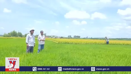 Bất thường việc thu dịch vụ công ích thủy lợi tại huyện Ia Pa, Gia Lai