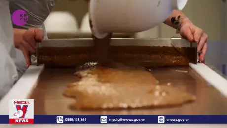 Giá cacao thế giới không ngừng leo đỉnh