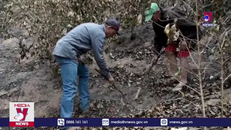 Biến đổi khí hậu để lại “vị đắng” cho nguồn cung cà phê thế giới