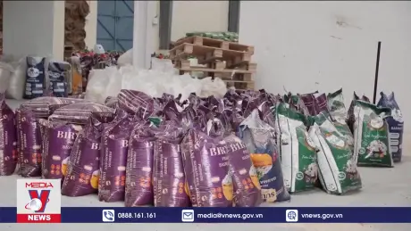 Ấn Độ giảm mạnh thuế xuất khẩu gạo