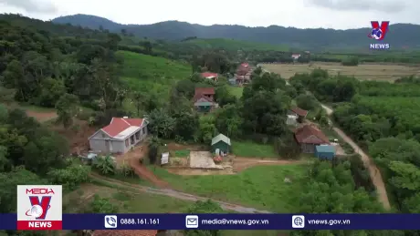 Bảo vệ rừng để phát triển bền vững