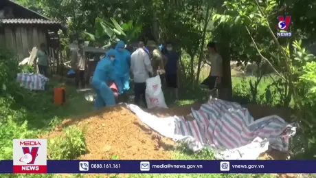 Cơ bản khống chế dịch tả lợn châu Phi ở Hà Giang