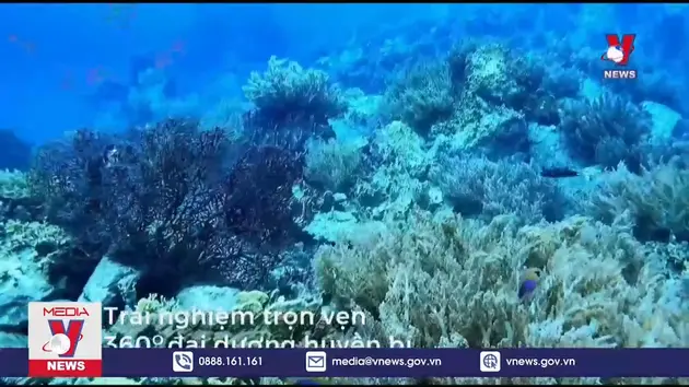 Gia hạn thời gian thí điểm dịch vụ tàu lặn tại vịnh Nha Trang