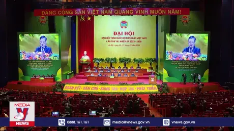 Chính sách và cuộc sống: Sức mạnh tập thể trong mô hình hợp tác xã