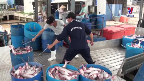 Nhật trình kinh tế ngày 30/9/2024