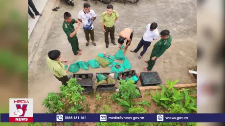 Bắt quả tang đối tượng vận chuyển 17 cá thể khỉ đuôi dài không rõ nguồn gốc