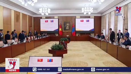 Nhánh chính sông Amazon gần cạn trơ đáy