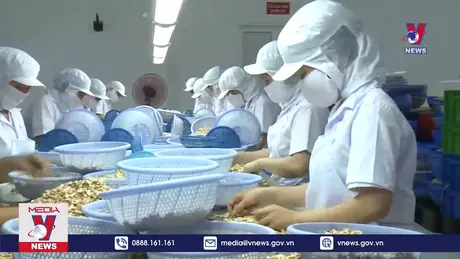 Bản tin thời sự 22h ngày 29/9/2024