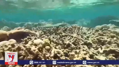 Báo động tốc độ ấm lên của đại dương toàn cầu