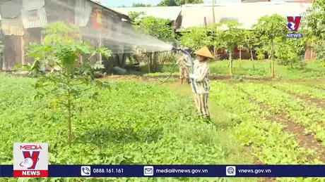 Bản tin thời sự 11h ngày 01/10/2024