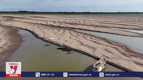 Nhánh chính sông Amazon gần cạn trơ đáy