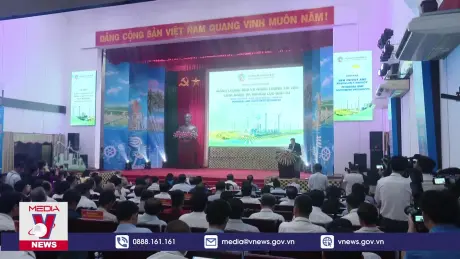 Đẩy mạnh phát triển nguồn năng lượng tái tạo tại Bến Tre