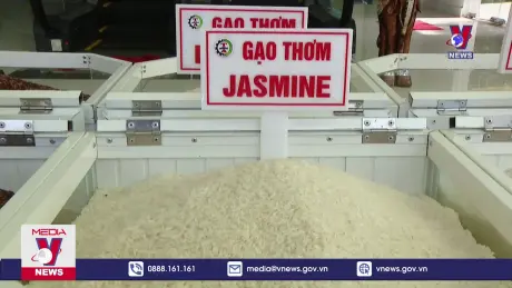 Việt Nam chi 1 tỷ USD nhập khẩu gạo