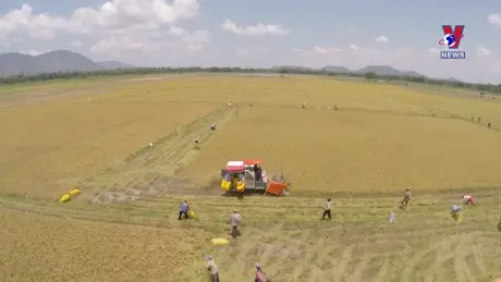 Nhật trình kinh tế ngày 02/10/2024