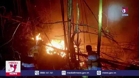 Cơ bản khống chế đám cháy 10 ha rừng ở xã Minh Châu, Quảng Ninh