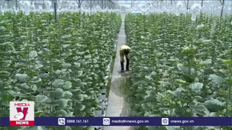 Đổi mới sáng tạo giúp doanh nghiệp phát triển nhanh và bền vững