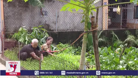 Hỗ trợ người cao tuổi khởi nghiệp