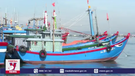 Sản lượng hải sản khai thác xa bờ tăng mạnh