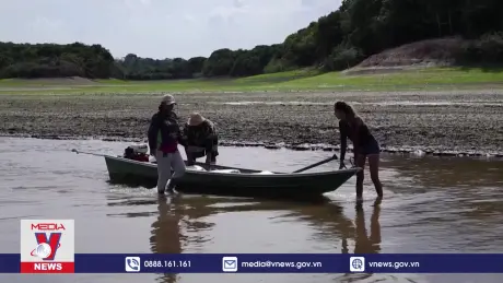 Hạn hán cực đoan cô lập các cộng đồng ven sông Amazon tại Brazil