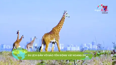 Tương Lai Xanh ngày 29/8/2024