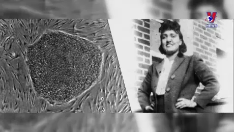 Thông điệp lịch sử: Henrietta Lacks