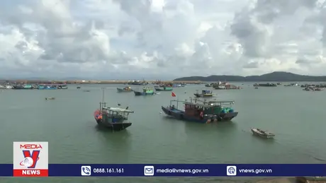 Khẩn trương thi công khu neo đậu ở Cô Tô