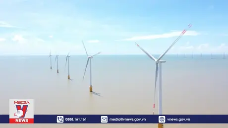 Phát triển nhanh ngành điện gió ngoài khơi của Việt Nam