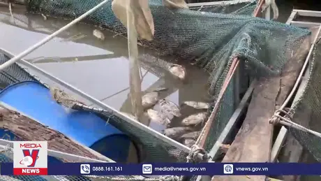 Các mẫu nước suối bị ô nhiễm tại Tuyên Quang không thể dùng để sinh hoạt