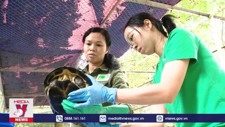 Những ngôi nhà hạnh phúc của động vật hoang dã