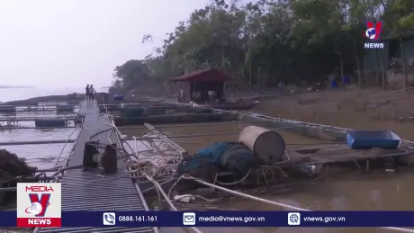 Hà Nam khôi phục chăn nuôi và thủy sản sau bão lũ