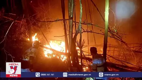 Liên tục xảy ra cháy rừng tại huyện Vân Đồn sau bão số 3