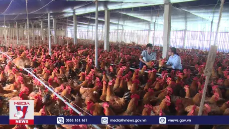 Thiếu hụt nguồn cung thực phẩm trong ngắn hạn