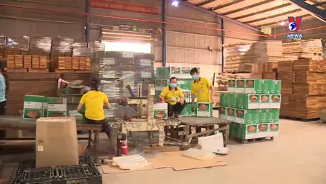 VNA News - Bản tin tiếng Anh ngày 5/10/2024