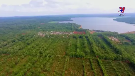 Nhật trình kinh tế ngày 5/10/2024