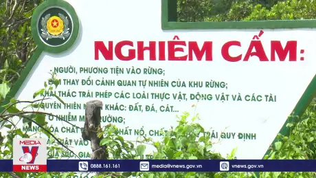 Phát huy “sức dân” trong quản lý bảo vệ rừng