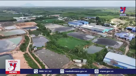 Bản tin thời sự 8h ngày 05/10/2024