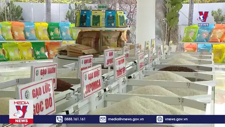 Bản tin thời sự 11h ngày 05/10/2024