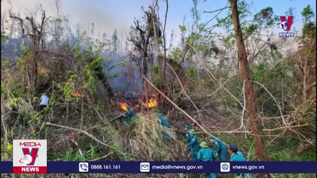 Liên tiếp xảy ra nhiều vụ cháy rừng tại Quảng Ninh